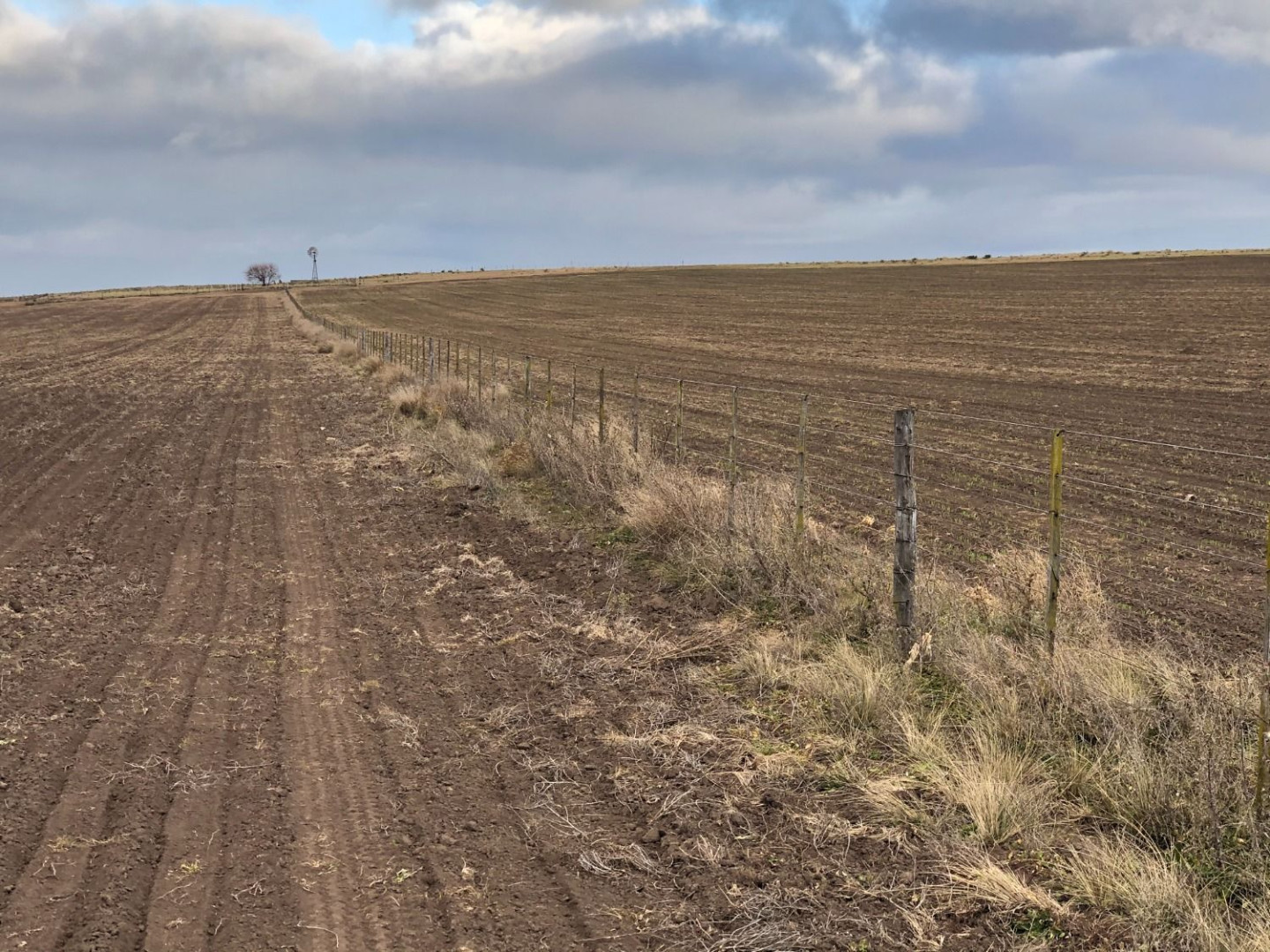 Campo  en Venta en Coronel Dorrego,  Coronel Dorrego - Bahía Blanca Propiedades | SITIO OFICIAL l