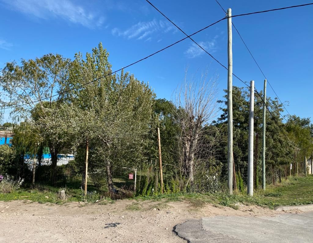 Terreno en Venta en Bermudez Y Pablo Lejarraga, Barrio Parque Independencia, Bahía Blanca - Bahía Blanca Propiedades | SITIO OFICIAL l