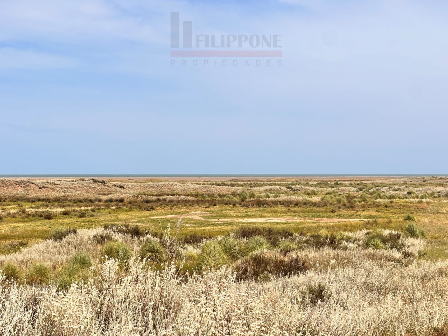 Campo  en Venta   Coronel Dorrego - Bahía Blanca Propiedades | SITIO OFICIAL l