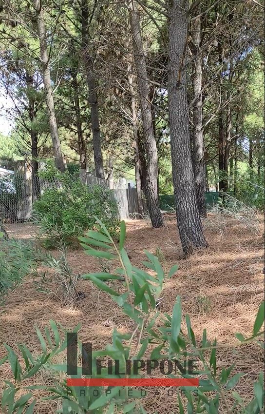 Terreno en Venta en Avenida Circunvalación, Las Dunas, Monte Hermoso - Bahía Blanca Propiedades | SITIO OFICIAL l