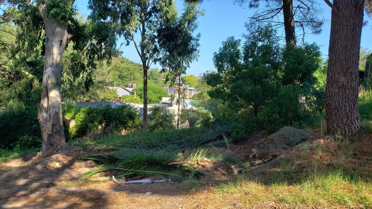 Terreno en Venta en Camarones 1300, Las Dunas, Monte Hermoso - Bahía Blanca Propiedades | SITIO OFICIAL l