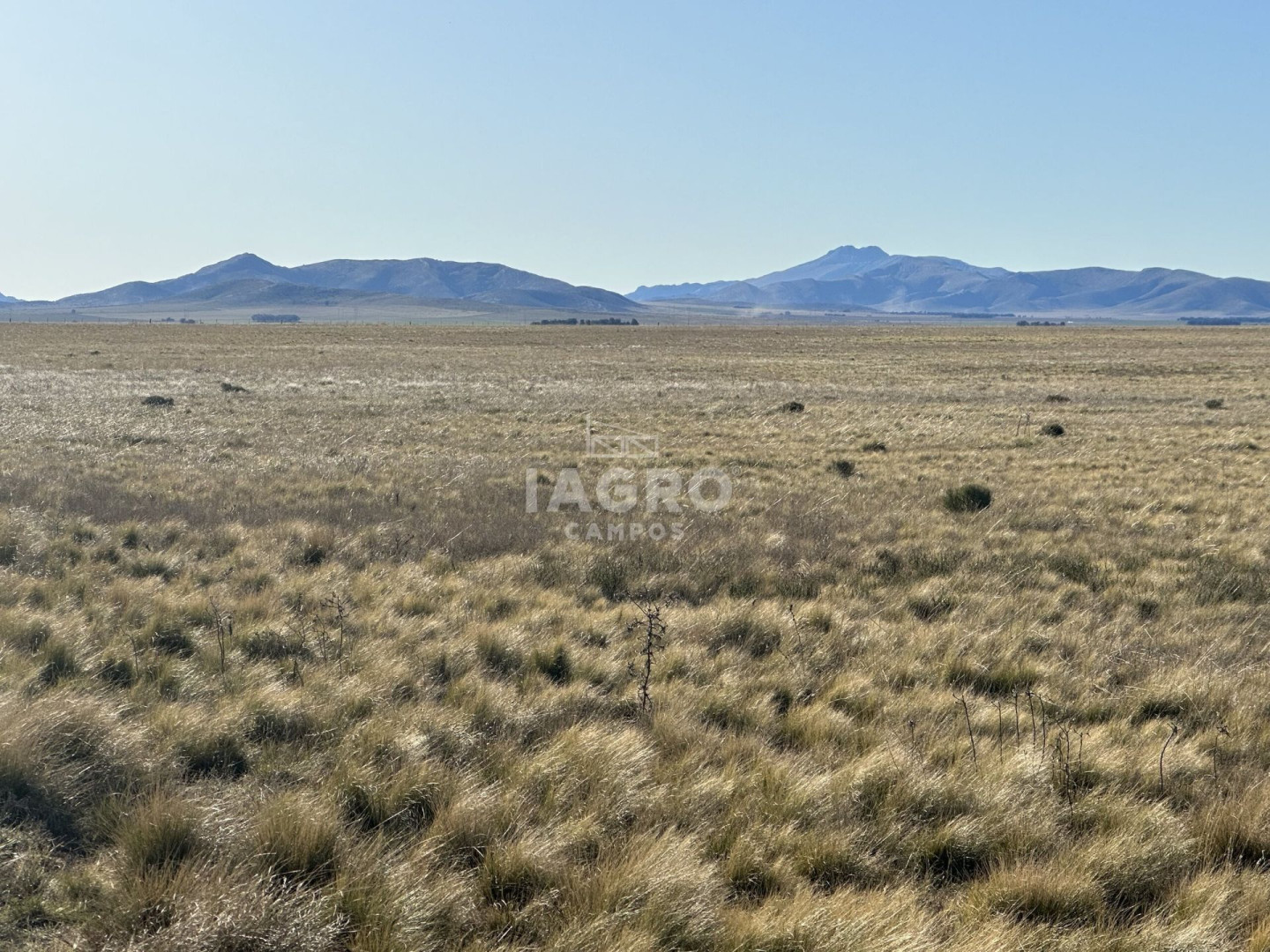 Campo  en Venta en Estomba,  Tornquist - Bahía Blanca Propiedades | SITIO OFICIAL l