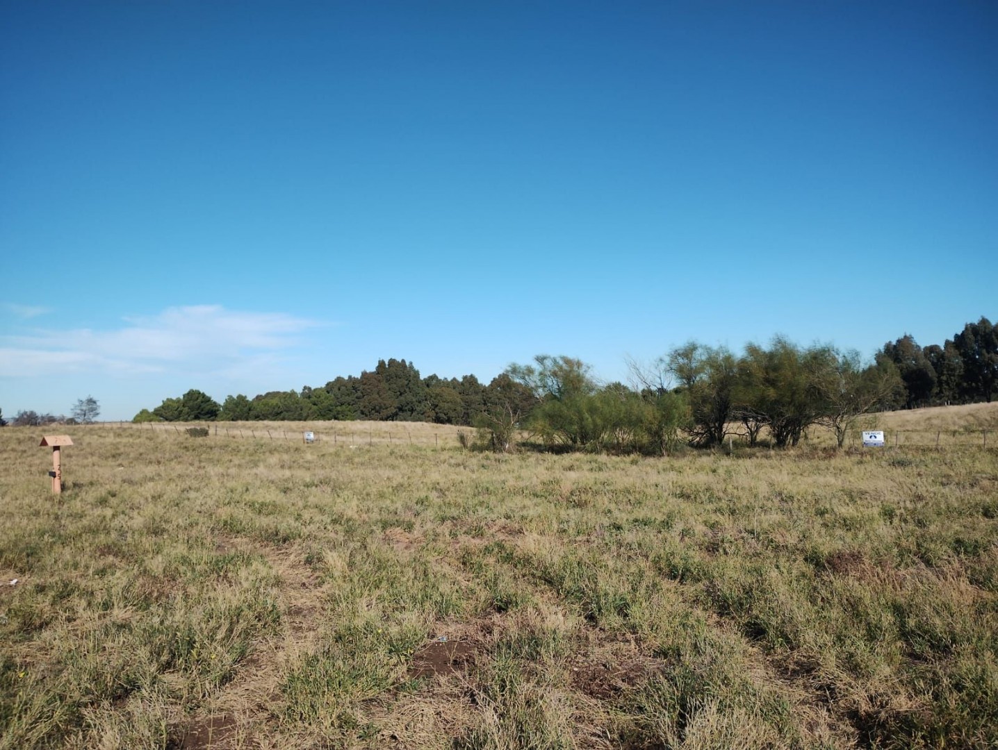 Terreno en Venta en Ruta 3 Km Norte, Pago Chico, Bahía Blanca - Bahía Blanca Propiedades | SITIO OFICIAL l