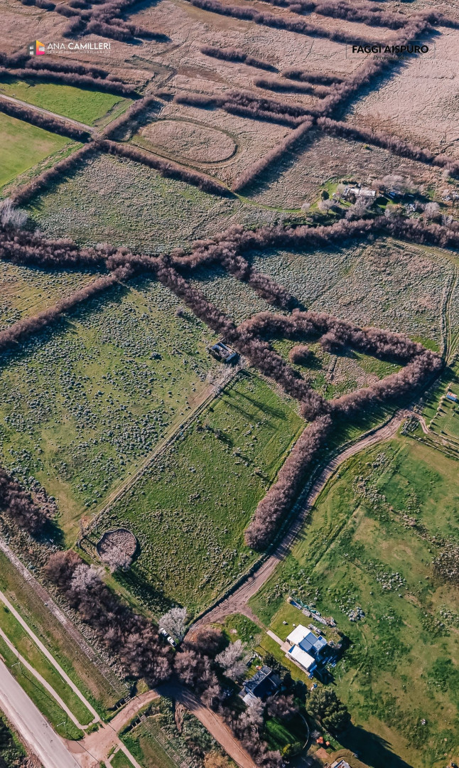 Terreno en Venta en Vera Y Carrindanga, La Carrindanga, Bahía Blanca - Bahía Blanca Propiedades | SITIO OFICIAL l