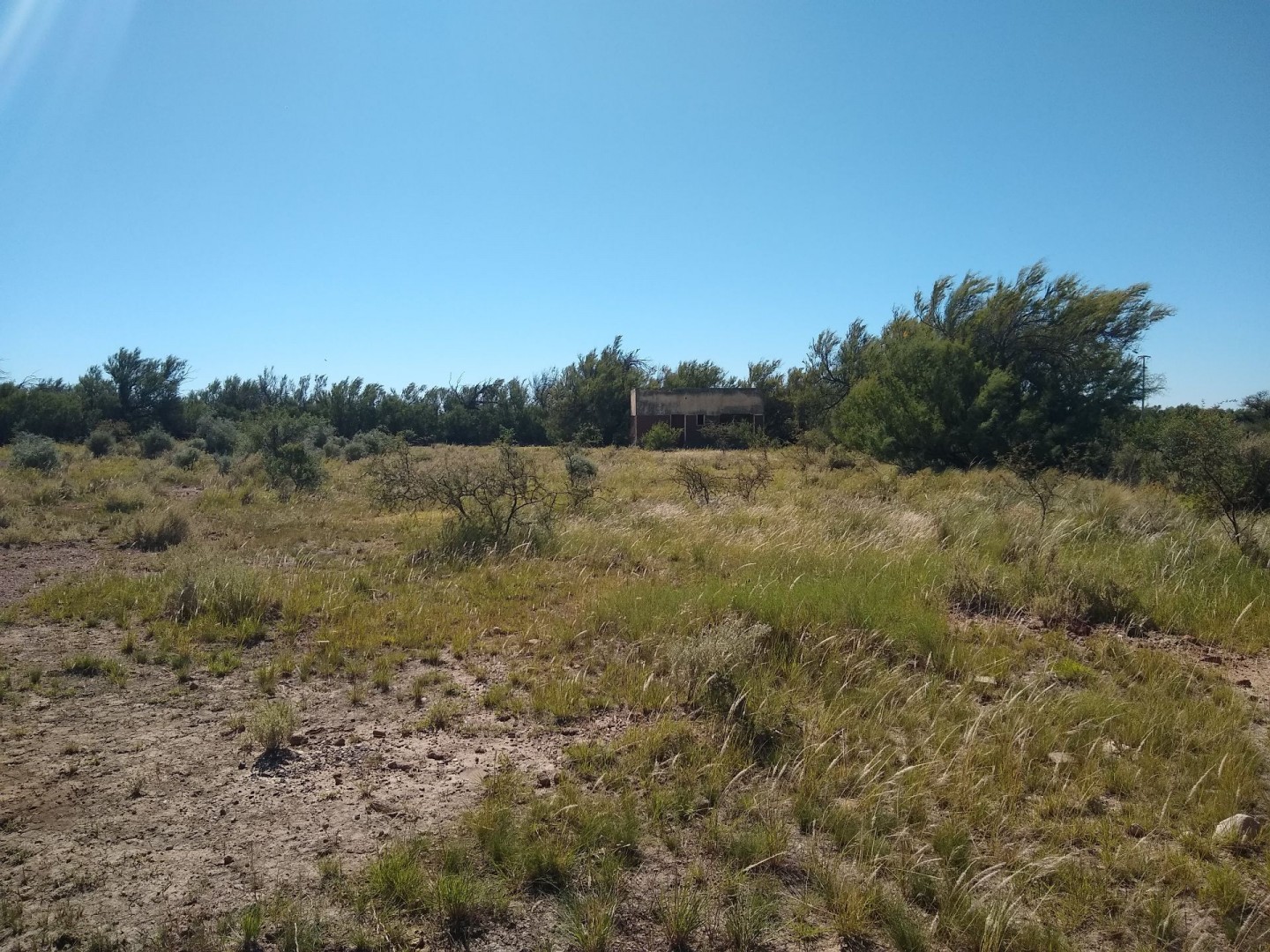 Terreno en Venta en Ruta 3 Km 701,  Bahía Blanca - Bahía Blanca Propiedades | SITIO OFICIAL l