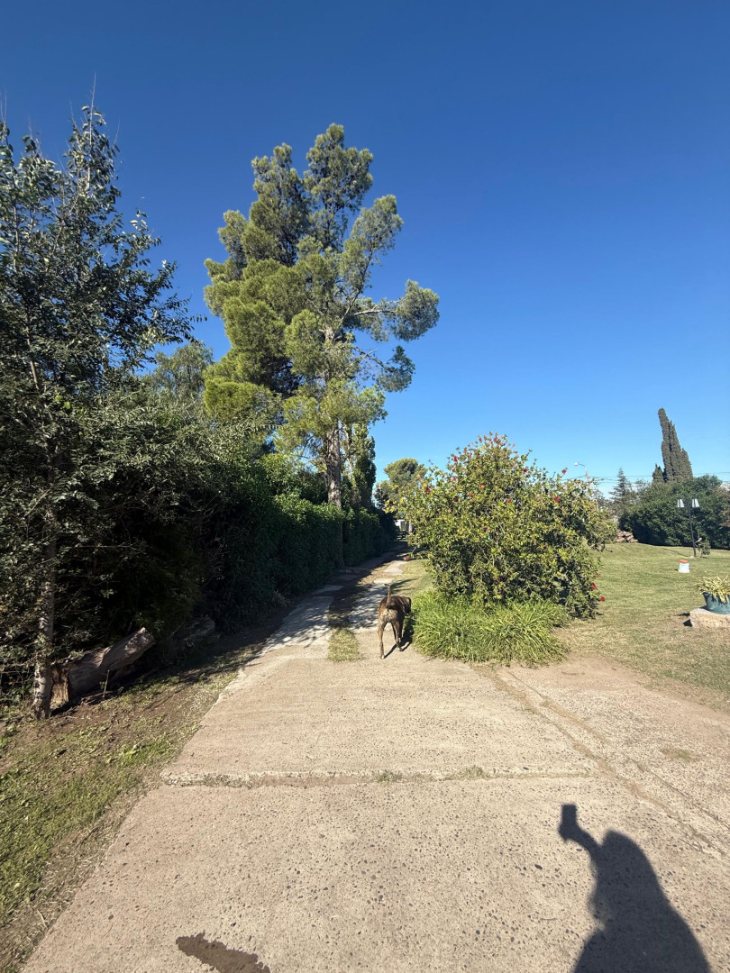 Casaquinta en Venta en Tres Lomas 100,  Bahía Blanca - Bahía Blanca Propiedades | SITIO OFICIAL l