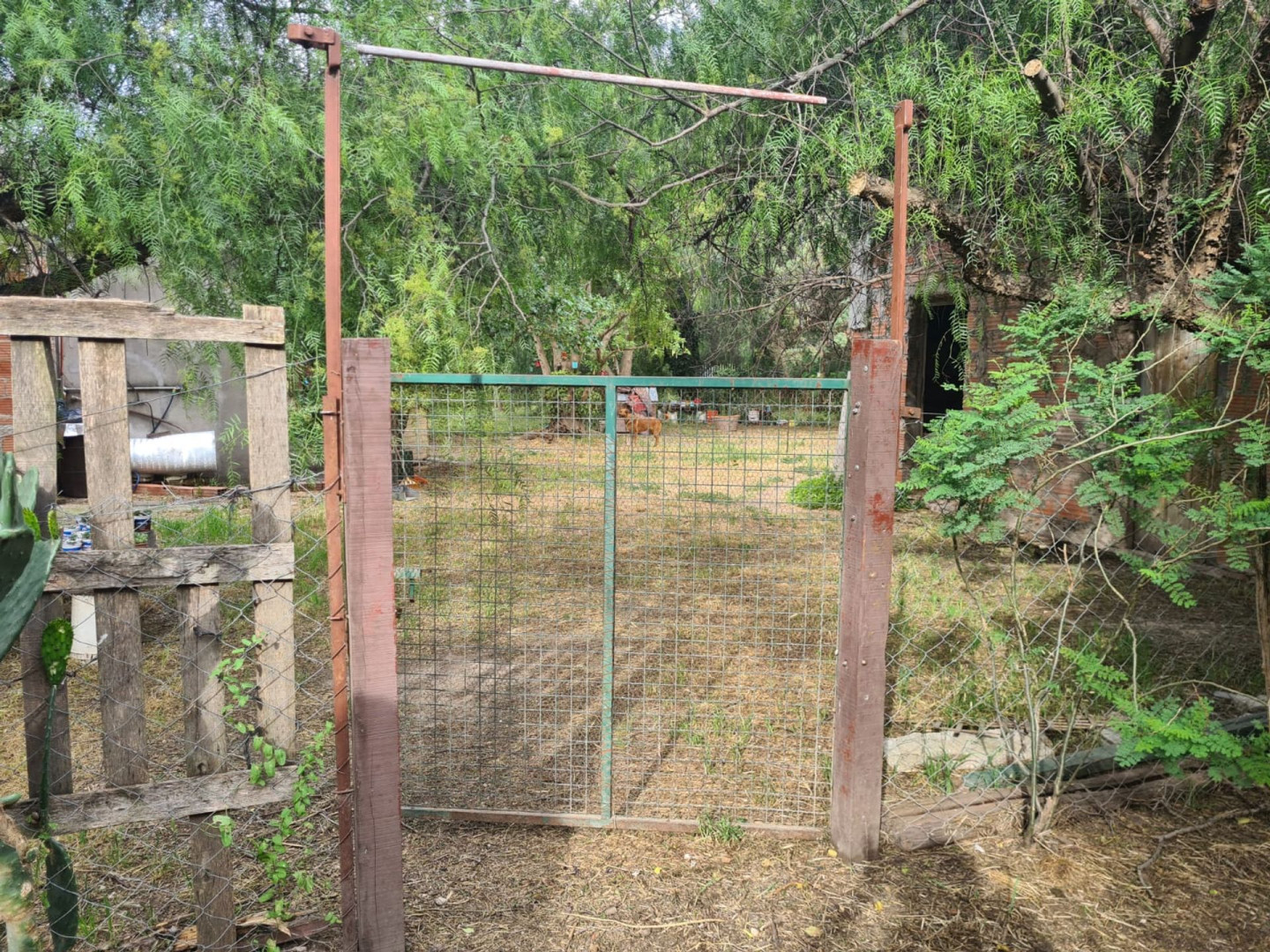 Casaquinta en Venta en General Artigas 600,  General Cerri - Bahía Blanca Propiedades | SITIO OFICIAL l