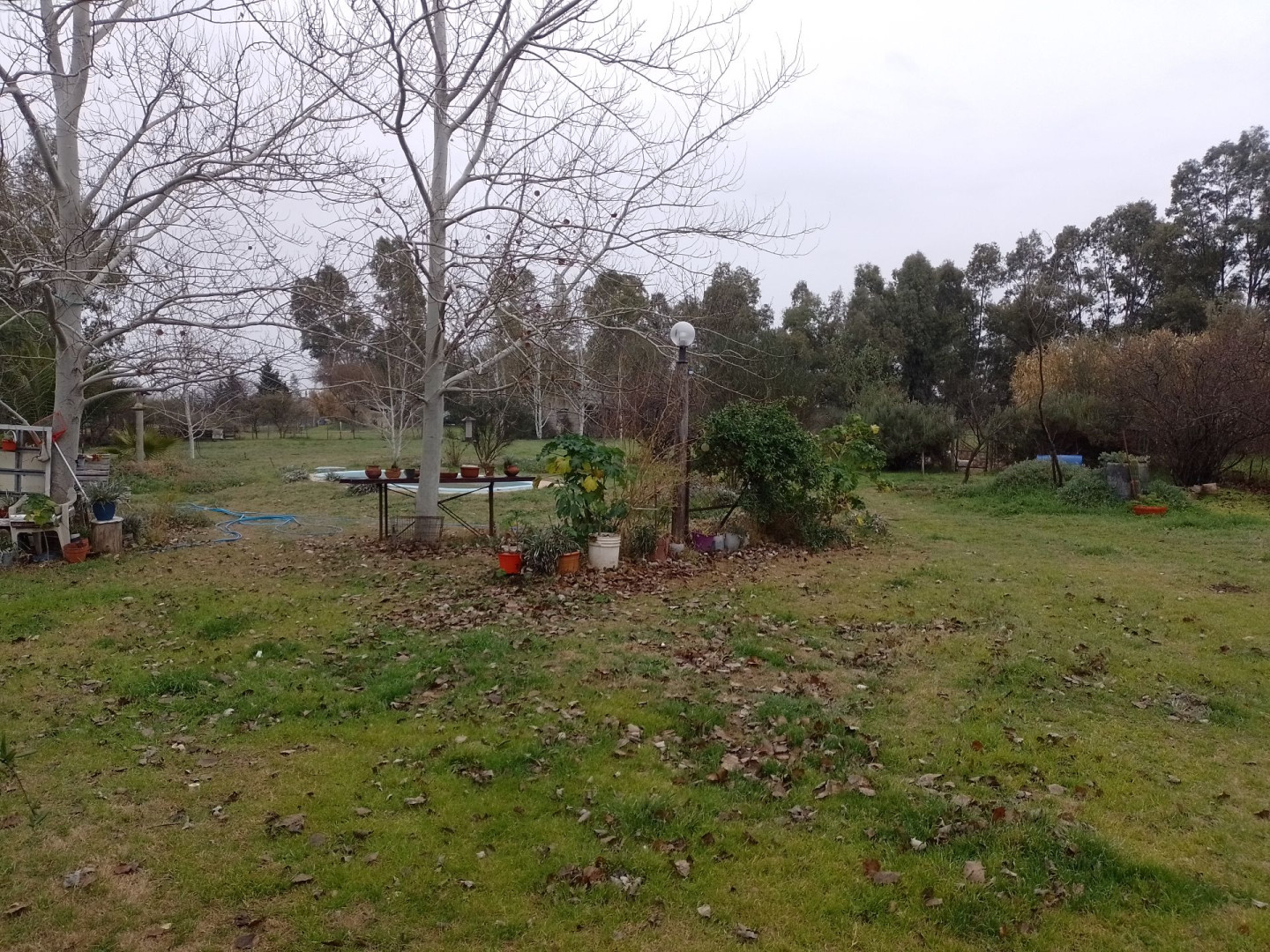 Casa en Venta en Casilda Igarzabal 500, Los Chañares, Bahía Blanca - Bahía Blanca Propiedades | SITIO OFICIAL l