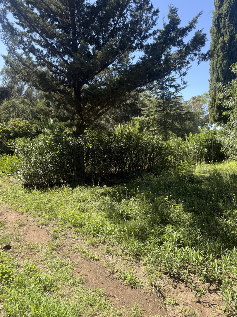 Terreno en Venta en Rincon 4004, San Miguel, Bahía Blanca - Bahía Blanca Propiedades | SITIO OFICIAL l