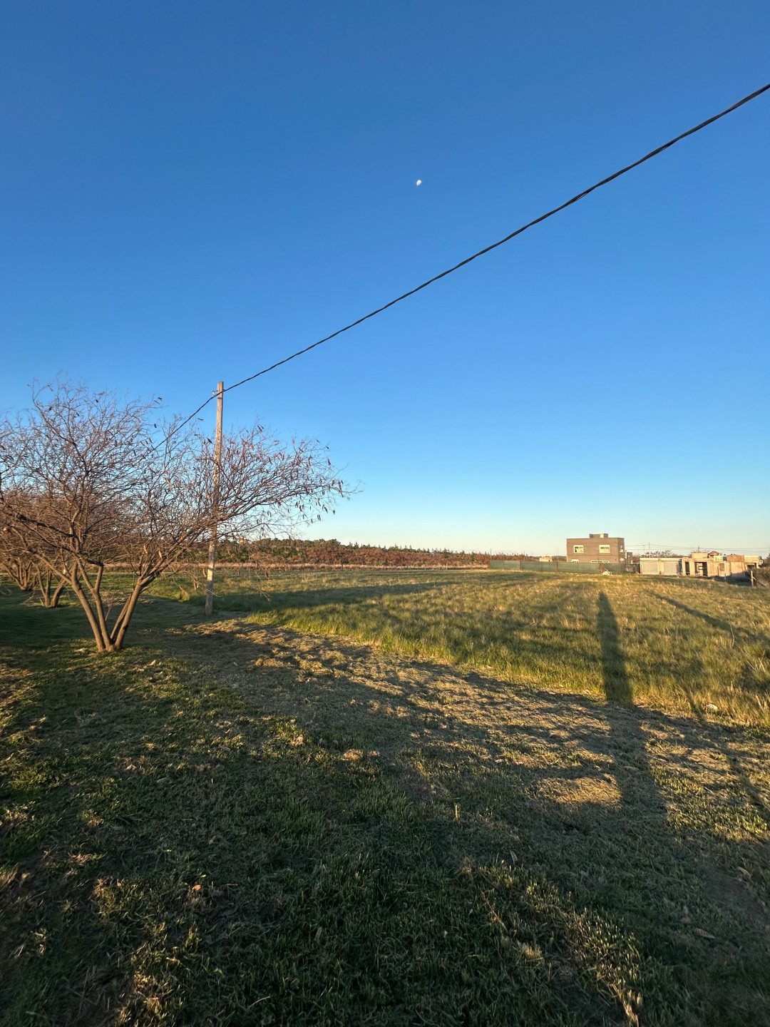 Terreno en Venta en Manuel Alberti 4280, Las Calandrias, Bahía Blanca - Bahía Blanca Propiedades | SITIO OFICIAL l