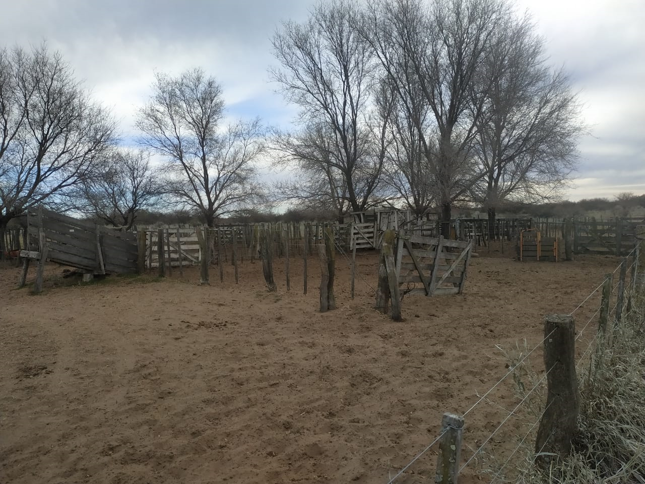 Campo  en Venta en Hucal-La Pampa,  Bahía Blanca - Bahía Blanca Propiedades | SITIO OFICIAL l