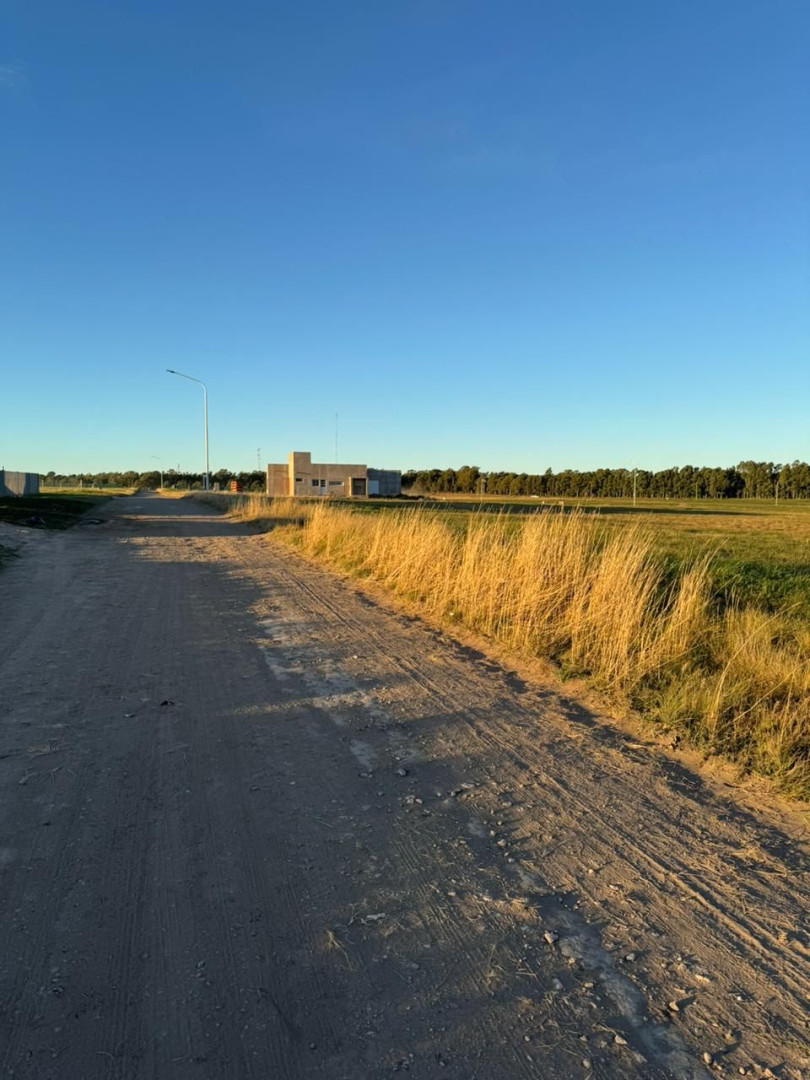 Terreno en Venta en Barba De Chivo 1200,  Bahía Blanca - Bahía Blanca Propiedades | SITIO OFICIAL l
