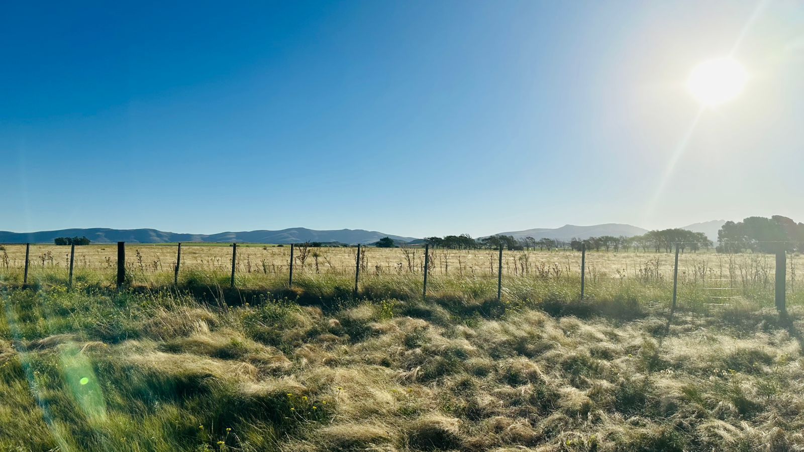 Local en Venta en Ruta 72 Km 7,  Saldungaray - Bahía Blanca Propiedades | SITIO OFICIAL l