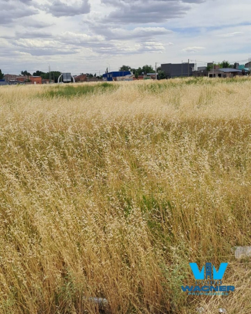 Terreno en Venta en Vieytes Y Manzana De Las Luces, Latino, Bahía Blanca - Bahía Blanca Propiedades | SITIO OFICIAL l