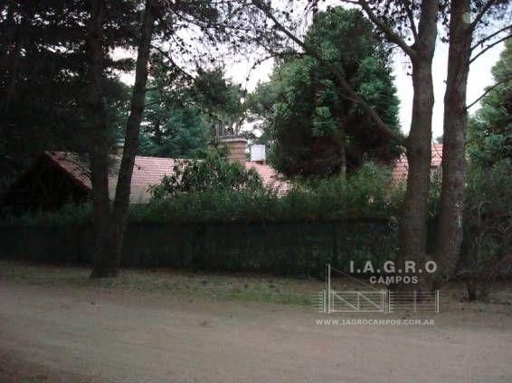 Casa en Venta en Curamalal Y Paloma,  Villa Ventana - Bahía Blanca Propiedades | SITIO OFICIAL l