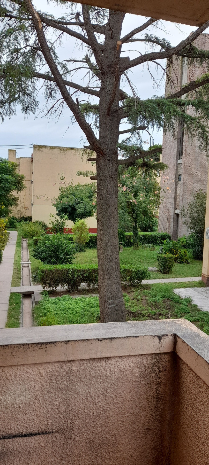 Departamento en Venta  Rosendo Lopez, Bahía Blanca - Bahía Blanca Propiedades | SITIO OFICIAL l
