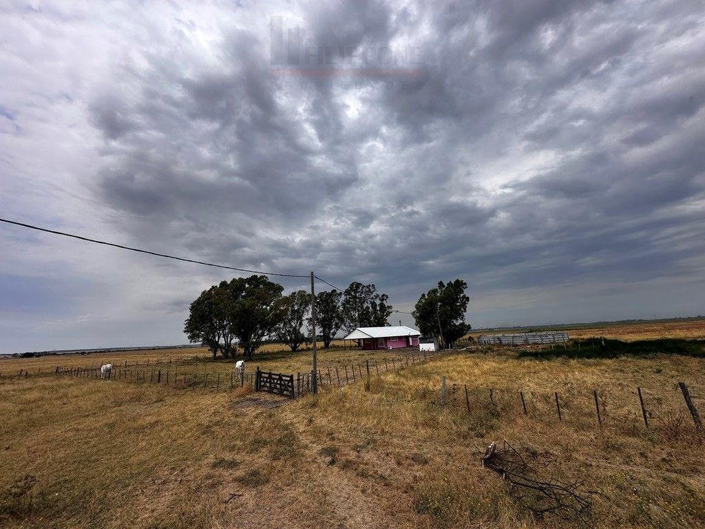 Campo  en Venta en Ruta Nacional 35 Km15,  Bahía Blanca - Bahía Blanca Propiedades | SITIO OFICIAL l