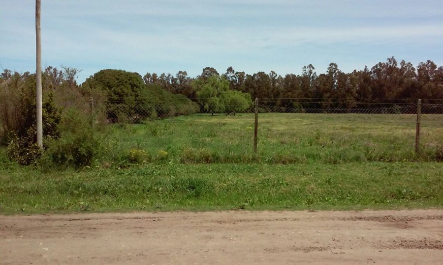 Campo  en Venta en Ciudad De Miramar,  Miramar - Bahía Blanca Propiedades | SITIO OFICIAL l
