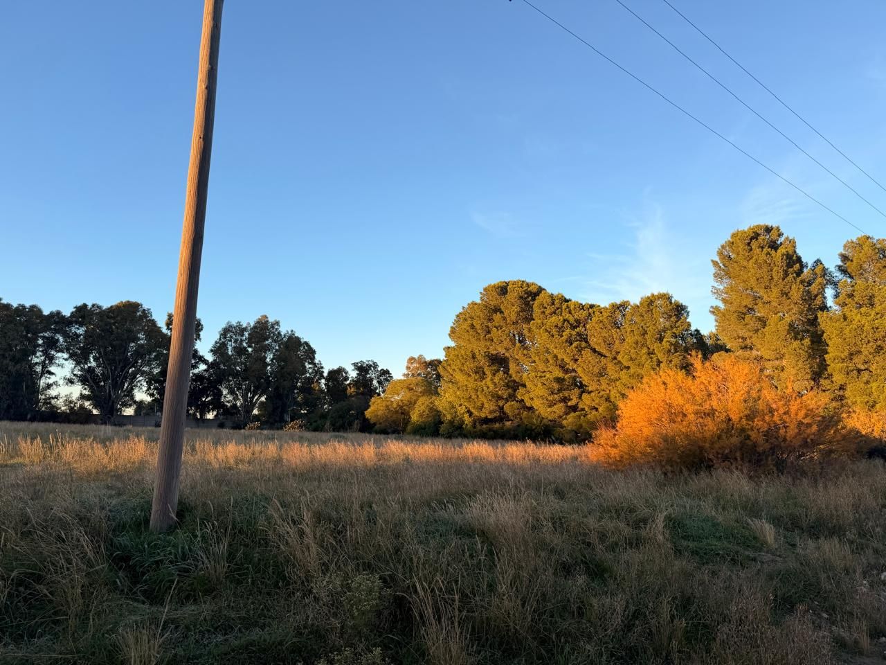 Terreno en Venta en Arlt 1960,  Bahía Blanca - Bahía Blanca Propiedades | SITIO OFICIAL l