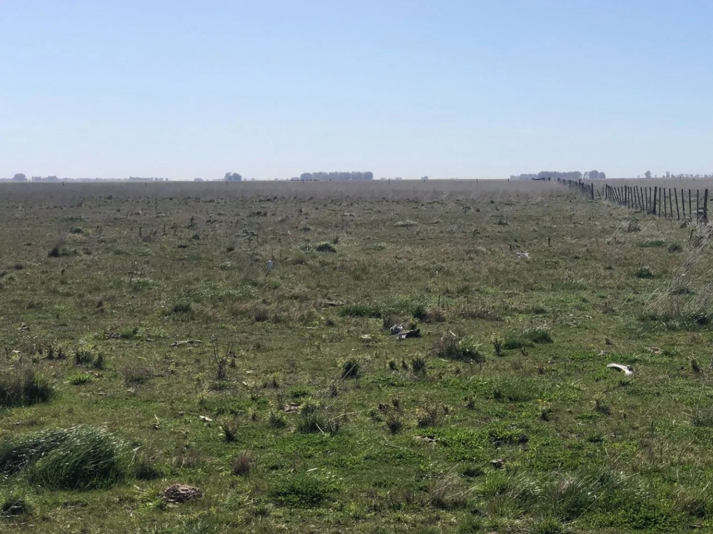 Campo  en Venta en Tres Arroyos ,  Tres Arroyos - Bahía Blanca Propiedades | SITIO OFICIAL l