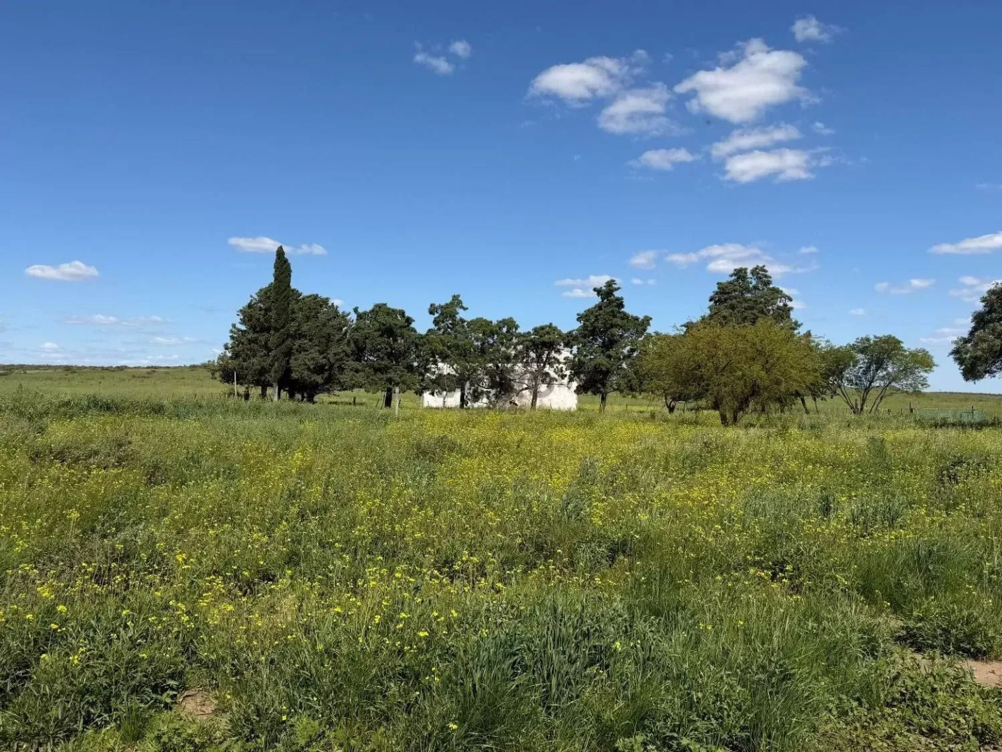 Campo  en Venta en Camino Parque Sesquicentenario,  Bahía Blanca - Bahía Blanca Propiedades | SITIO OFICIAL l