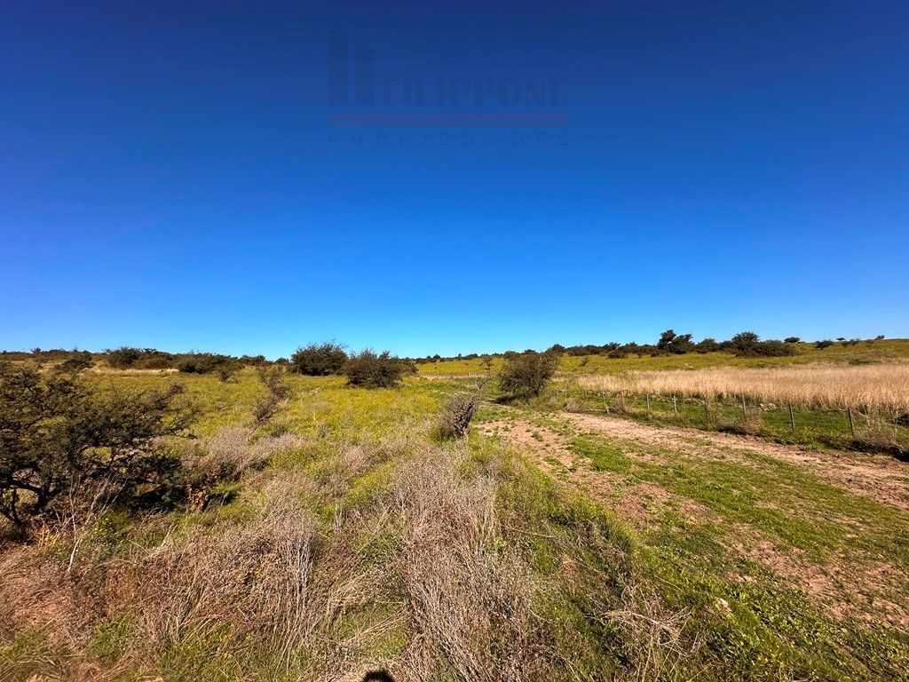 Campo  en Venta en Ruta 35 - Bahía Blanca Propiedades | SITIO OFICIAL l