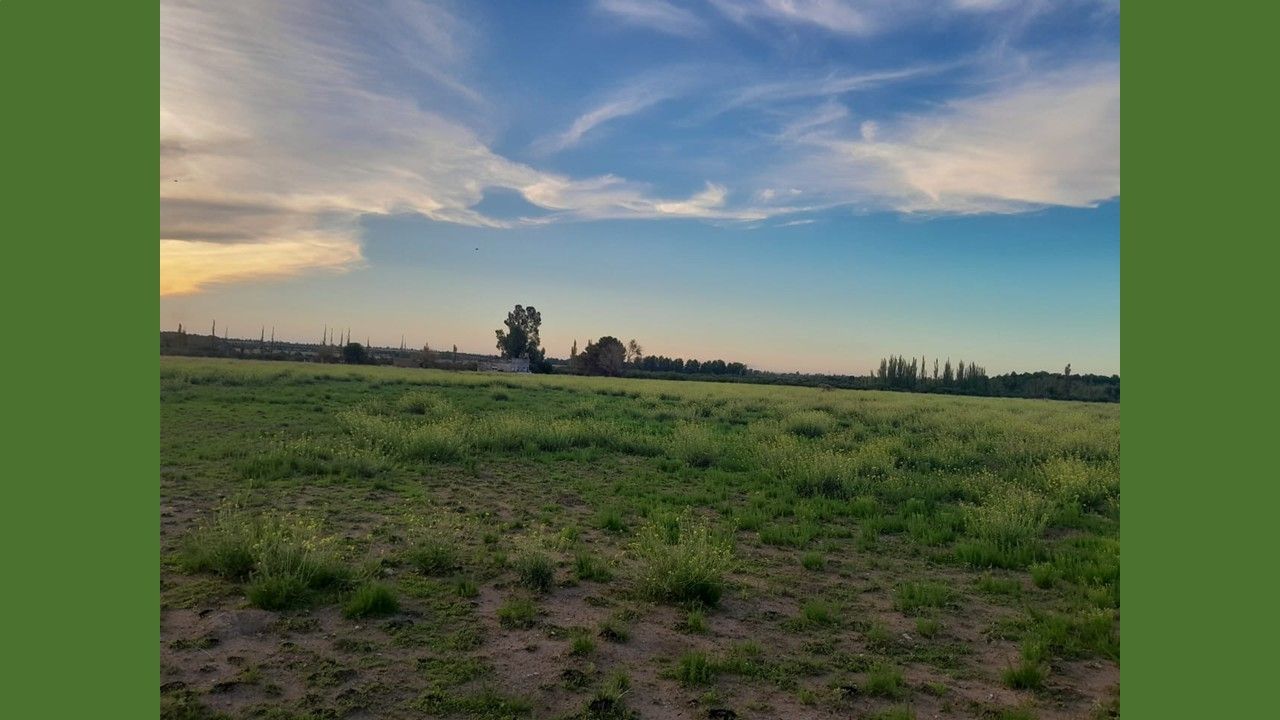 Terreno en Venta en Ramon Y Cajal 5200, Aldea Romana, Bahía Blanca - Bahía Blanca Propiedades | SITIO OFICIAL l