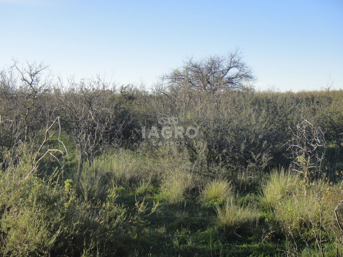 Campo  en Venta en Caleu Caleu,  Caleu Caleu - Bahía Blanca Propiedades | SITIO OFICIAL l
