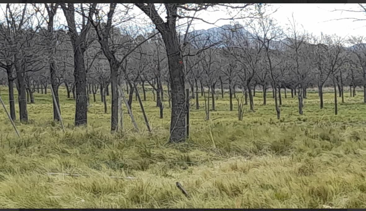 Terreno en Venta   Saldungaray - Bahía Blanca Propiedades | SITIO OFICIAL l