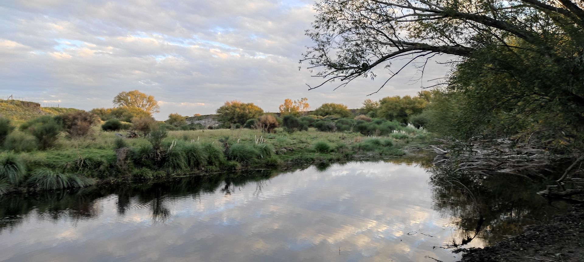 Campo  en Venta   Tornquist - Bahía Blanca Propiedades | SITIO OFICIAL l