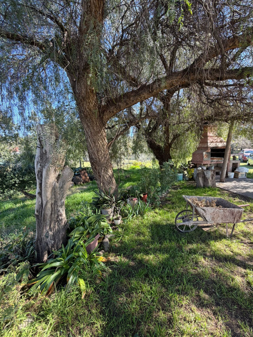 Quinta en Venta en Los Nogales Y Rawson, San Miguel, Bahía Blanca - Bahía Blanca Propiedades | SITIO OFICIAL l