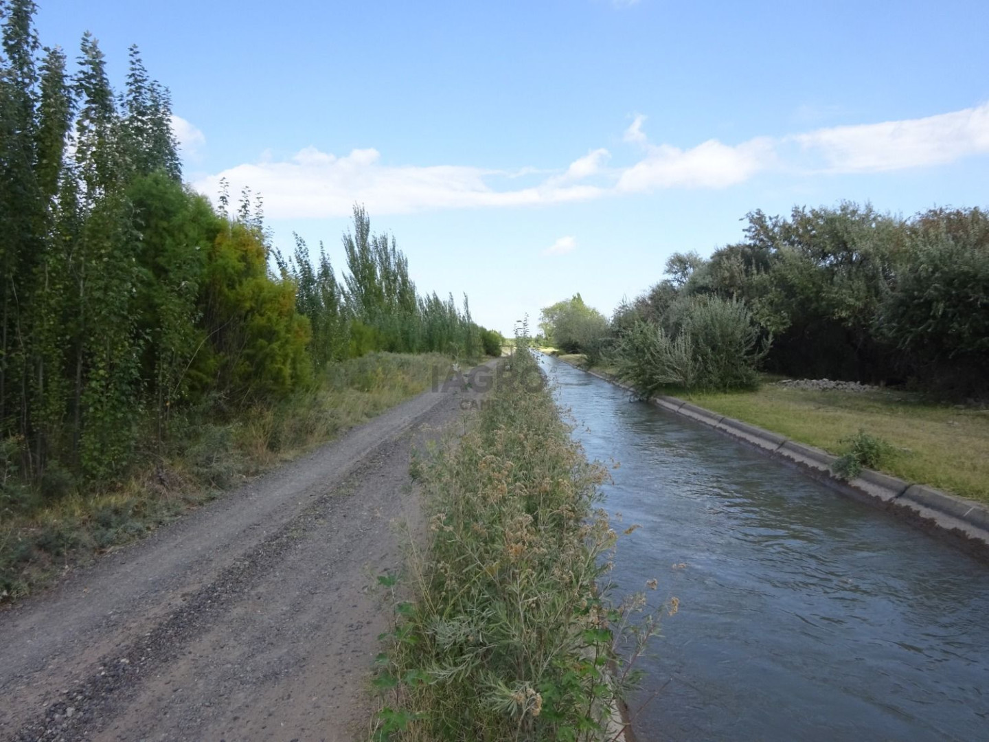 Campo  en Venta en Ruta Nacional 22,  Rio Colorado - Bahía Blanca Propiedades | SITIO OFICIAL l