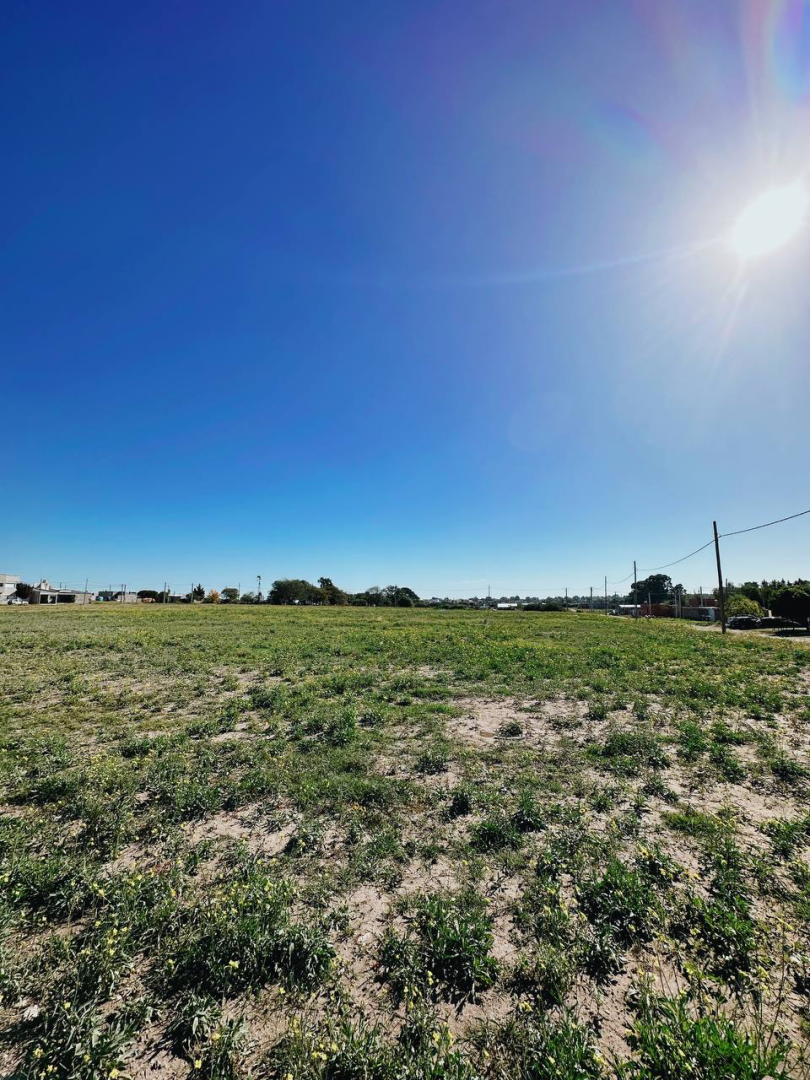 Terreno en Venta en El Resero 1046, Cenci, Bahía Blanca - Bahía Blanca Propiedades | SITIO OFICIAL l
