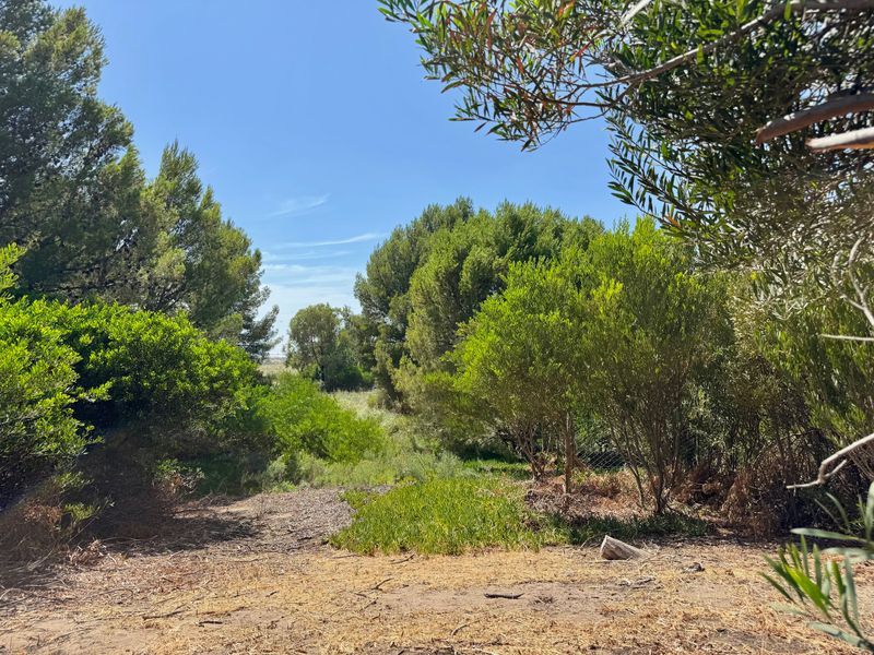 Terreno en Venta en La Florida, El Sauce, Monte Hermoso - Bahía Blanca Propiedades | SITIO OFICIAL l