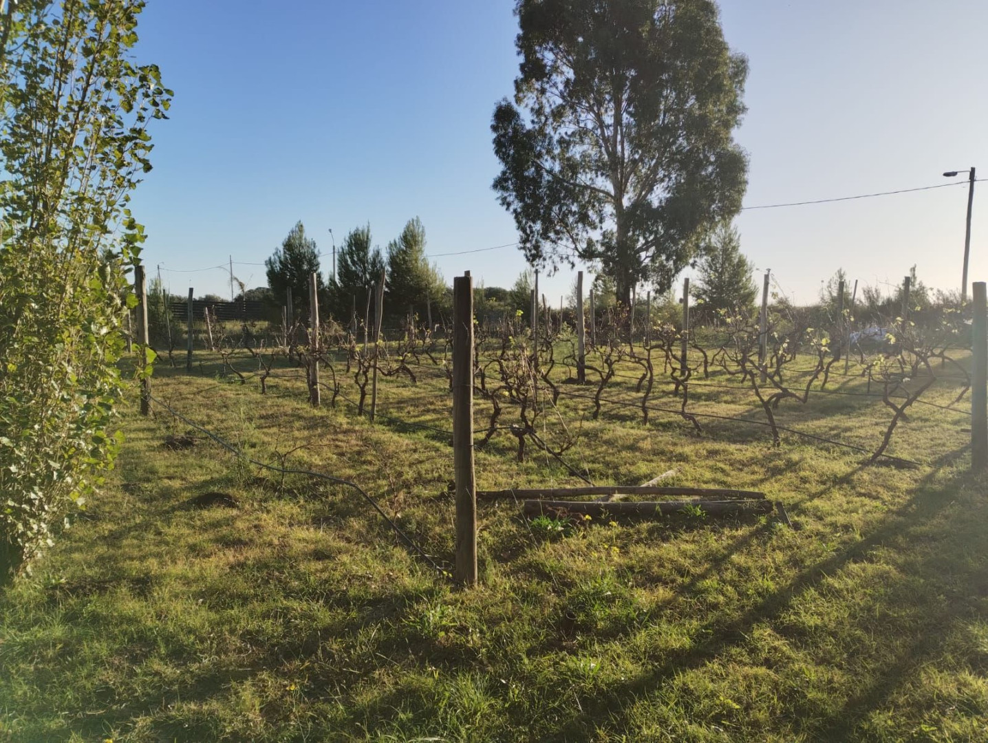 Terreno en Venta en Ciudad De Cali Y La Rastrillada,  Bahía Blanca - Bahía Blanca Propiedades | SITIO OFICIAL l