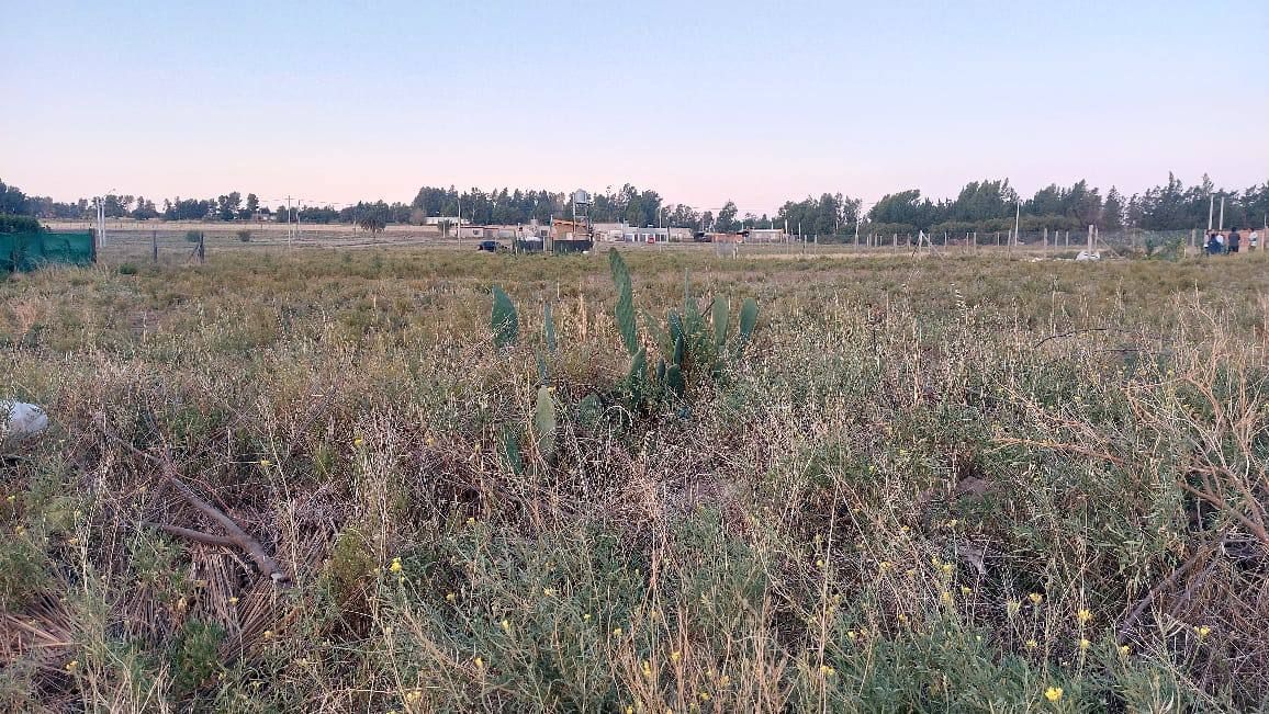 Terreno en Venta en Lucero 2900,  Bahía Blanca - Bahía Blanca Propiedades | SITIO OFICIAL l