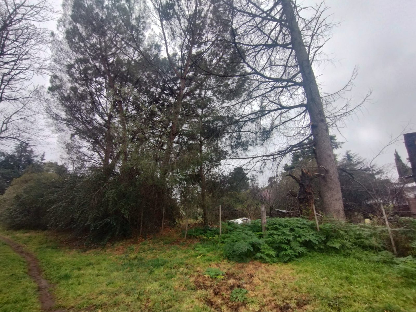 Terreno en Venta en Tres Picos 630,  Sierra de  la Ventana - Bahía Blanca Propiedades | SITIO OFICIAL l