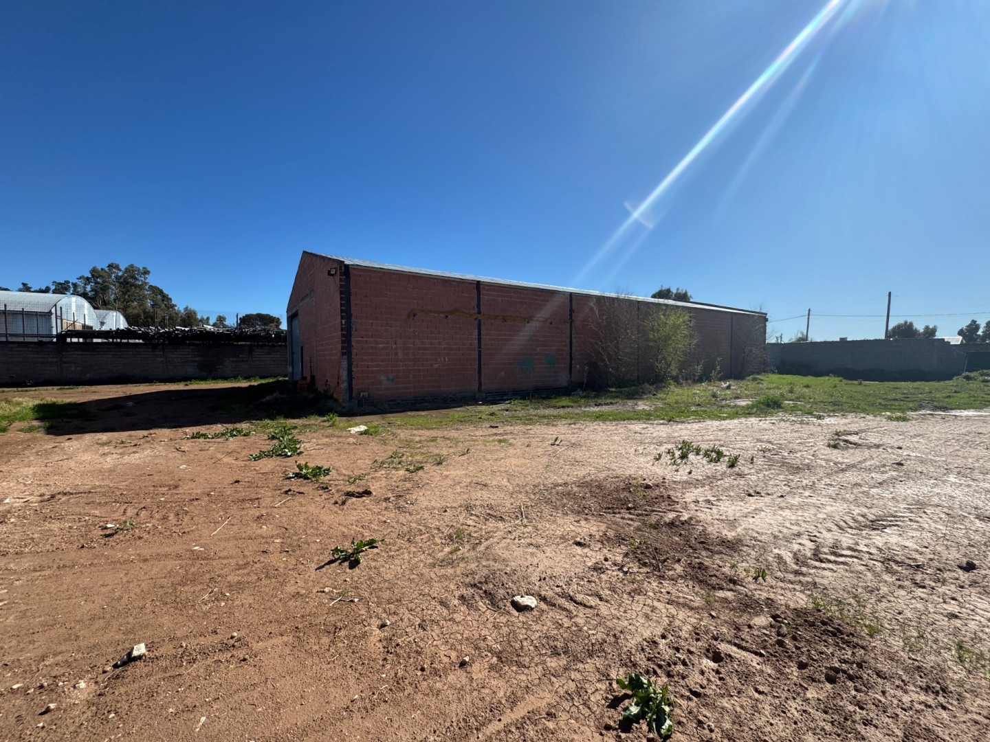 Galpón en Venta en Avellaneda 3109,  Bahía Blanca - Bahía Blanca Propiedades | SITIO OFICIAL l
