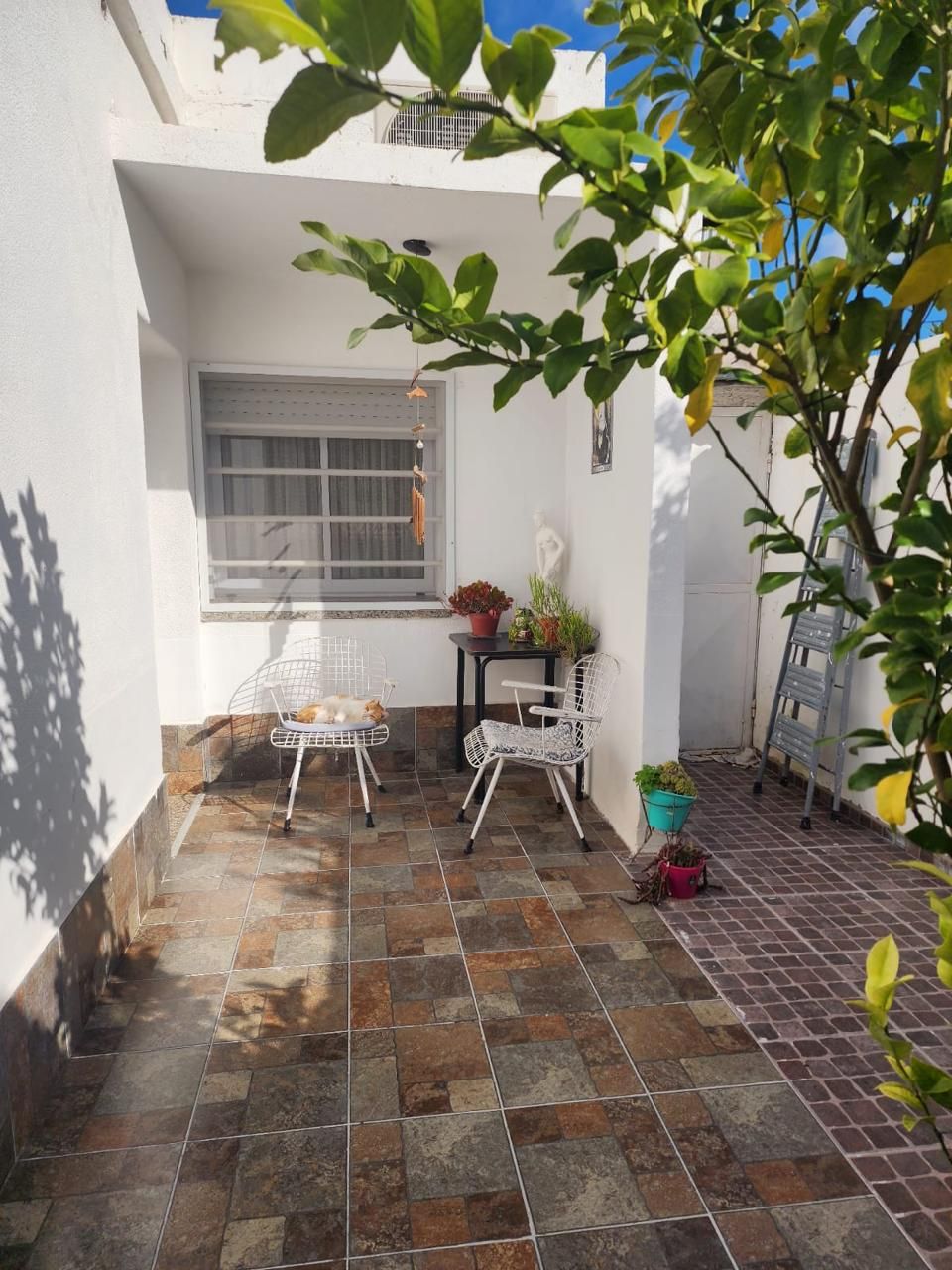 Casa en Venta en Mendoza 128, Macrocentro, Bahía Blanca - Bahía Blanca Propiedades | SITIO OFICIAL l