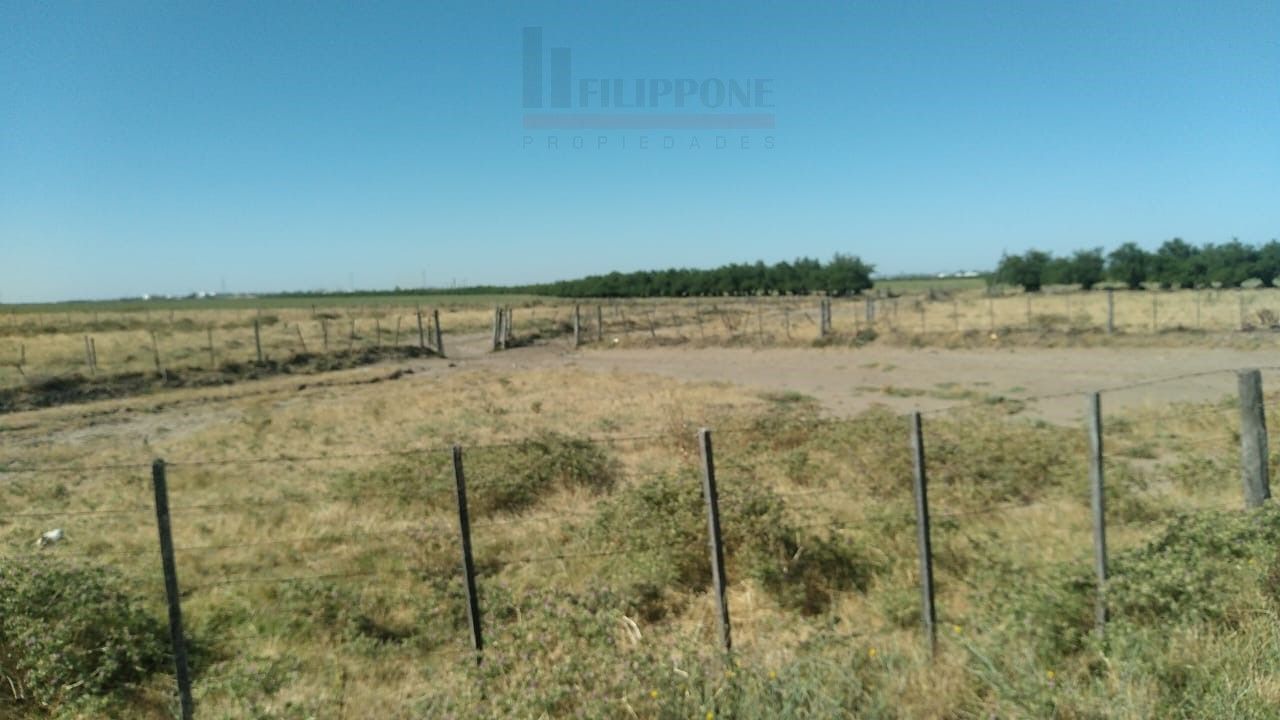 Campo  en Venta en Ruta Nacional 35 Km15,  Bahía Blanca - Bahía Blanca Propiedades | SITIO OFICIAL l