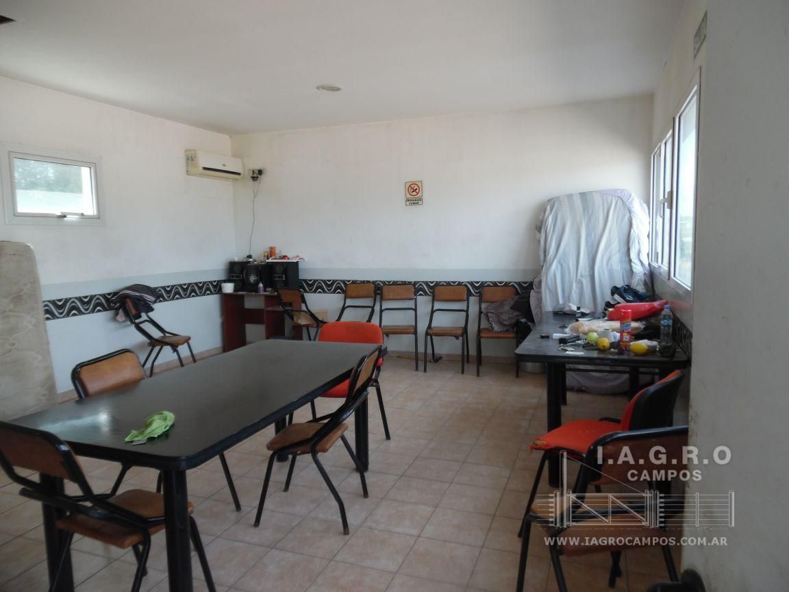 Terreno en Venta en Ruta Nacional 3 Sur Km 695,  Bahía Blanca - Bahía Blanca Propiedades | SITIO OFICIAL l