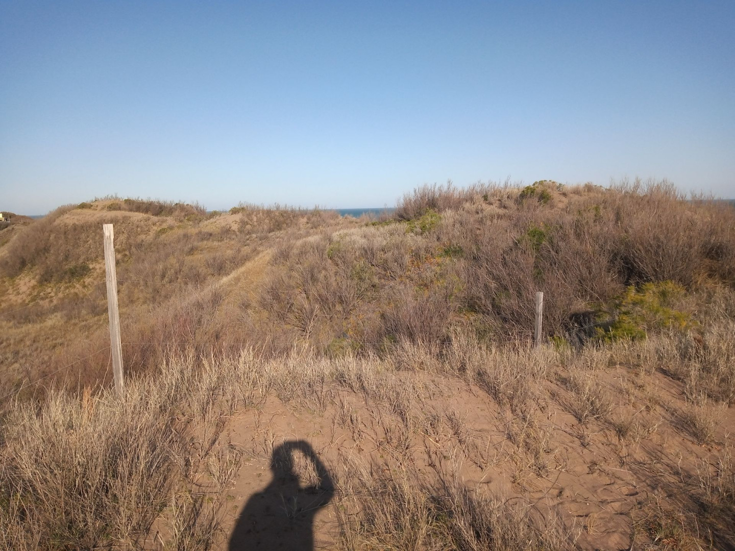 Terreno en Venta en Costanera Y Ensenada, El Sauce, Monte Hermoso - Bahía Blanca Propiedades | SITIO OFICIAL l