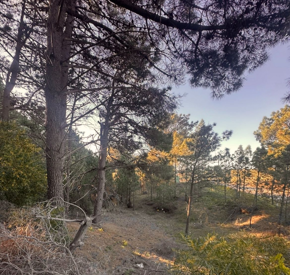 Terreno en Venta en Marinetas, Pinar del Golf, Monte Hermoso - Bahía Blanca Propiedades | SITIO OFICIAL l