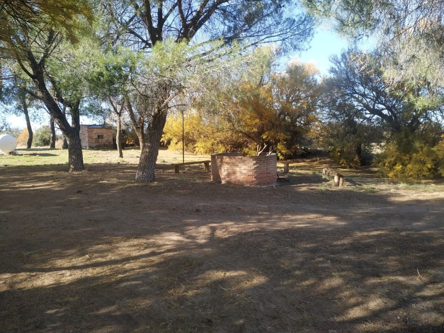 Campo  en Venta   Bernasconi - Bahía Blanca Propiedades | SITIO OFICIAL l
