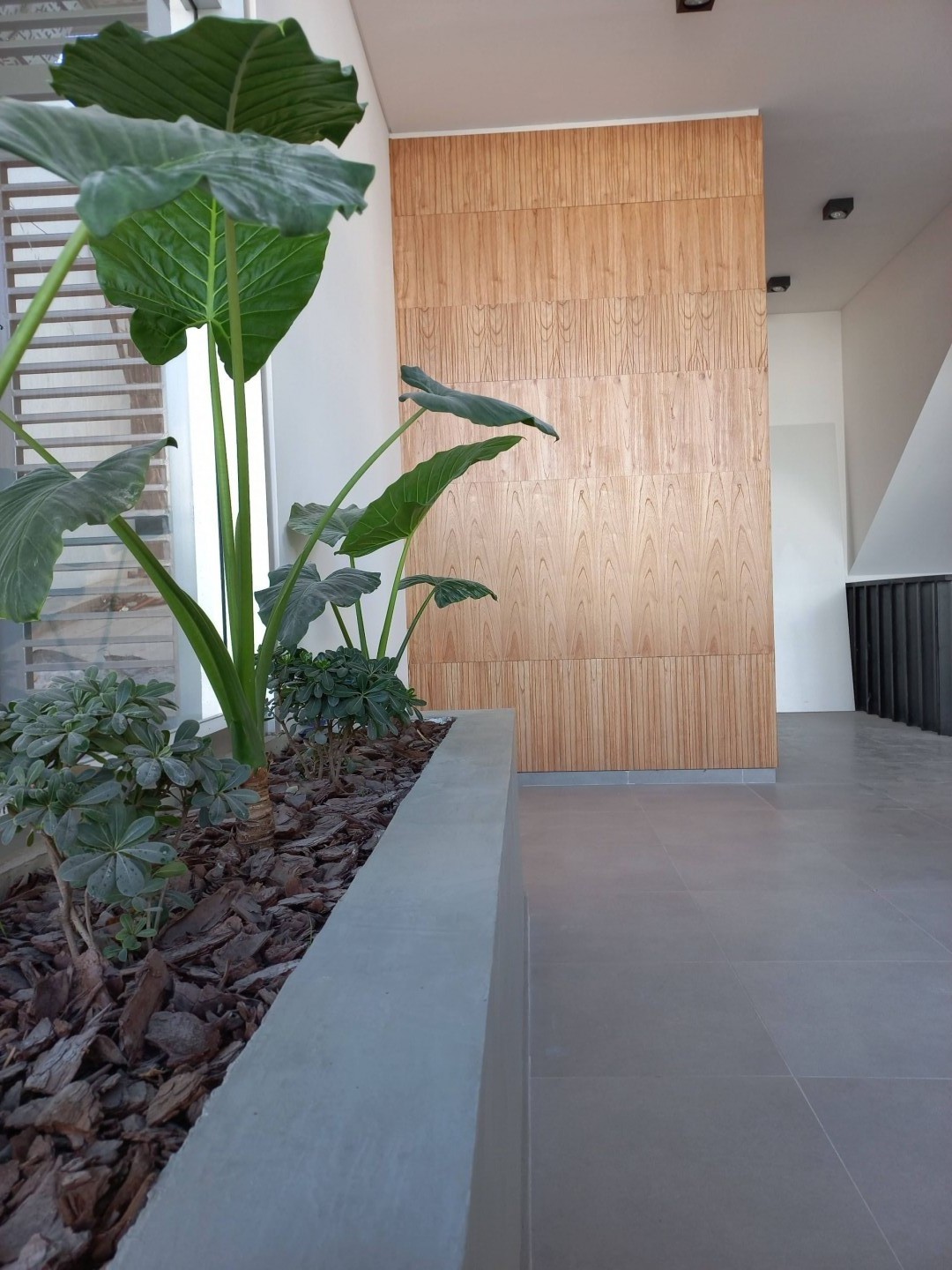 Departamento en Alquiler en San Martin 679, Centro, Bahía Blanca - Bahía Blanca Propiedades | SITIO OFICIAL l