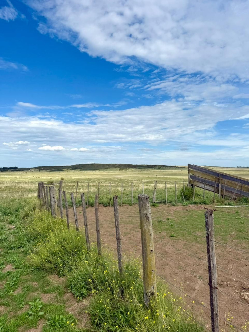 Campo  en Venta en A 4 Kilómetros De La Ruta 3.,  Teniente Origone - Bahía Blanca Propiedades | SITIO OFICIAL l