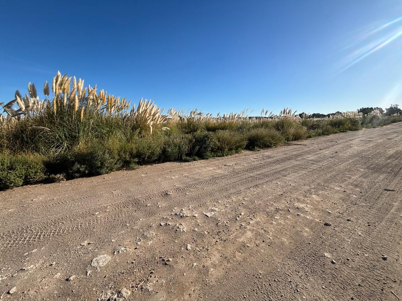 Terreno en Venta  El Sauce, Monte Hermoso - Bahía Blanca Propiedades | SITIO OFICIAL l