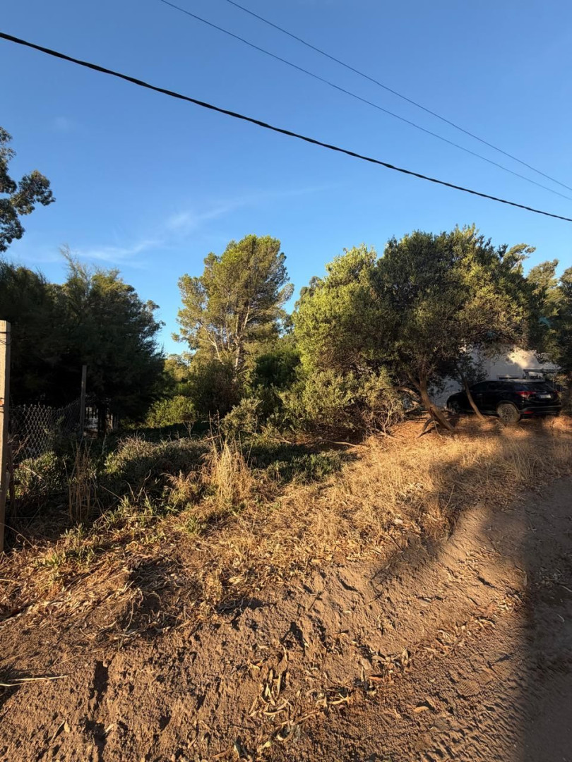 Terreno en Venta en Puleston Entre Los Alamos Y Aladino, El Sauce, Monte Hermoso - Bahía Blanca Propiedades | SITIO OFICIAL l