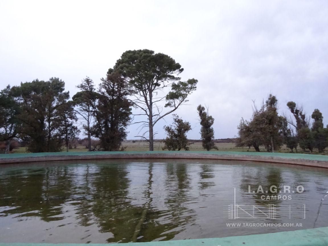 Campo  en Venta en Villarino,  Villarino - Bahía Blanca Propiedades | SITIO OFICIAL l