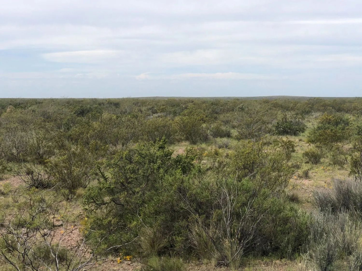 Campo  en Venta en Ruta Provincial 34,  Lihuel Calel - La Pampa - Bahía Blanca Propiedades | SITIO OFICIAL l
